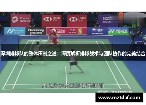 深圳排球队的整体压制之道：深度解析排球战术与团队协作的完美结合